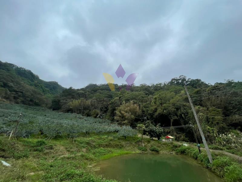 watersmall_LINE_ALBUM_LAA492超低價橘子園每坪0_20250825181122.jpg