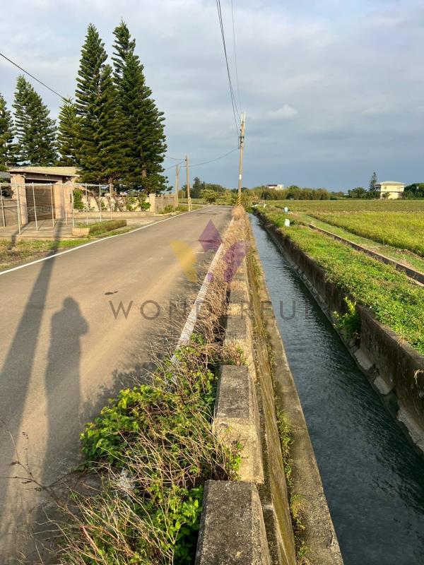 watersmall_AFDCCECC-C303-417B-B79E-54EE5F0A8035_20251126104119.jpeg