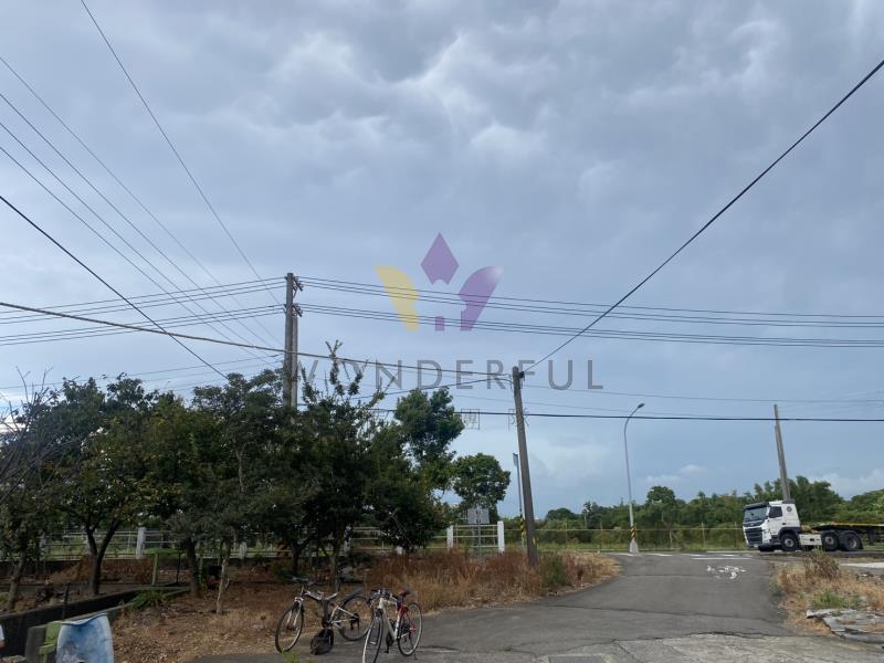 watersmall_S__16523279_0_20260102115158.jpg
