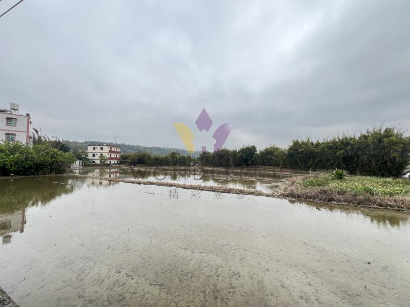 watersmall_IMG_7983_20260110111738.jpeg
