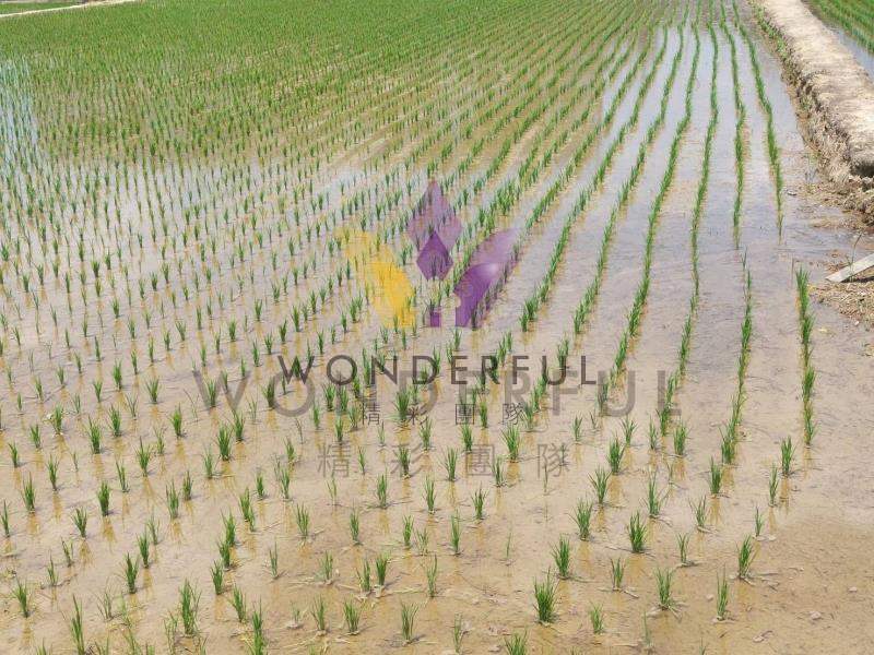 watersmall_watersmall_741833_0_結果_20250821174333_20260116202045.jpg