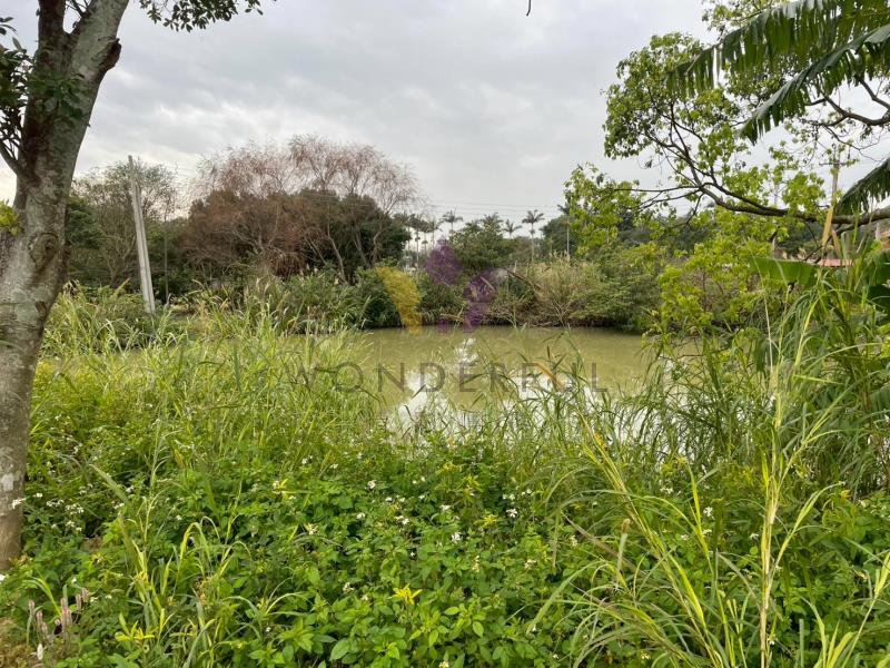 watersmall_1000144937_20260126123537.jpg