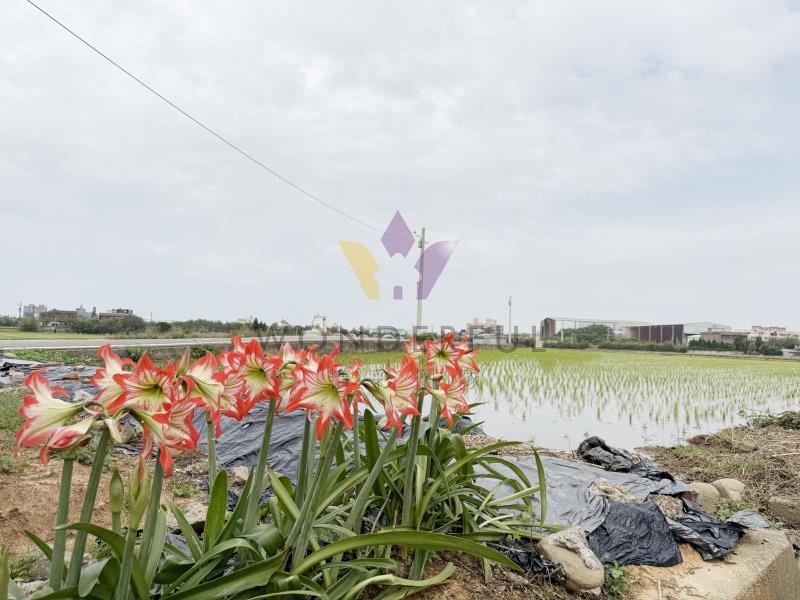 watersmall_S__7405590_0_20260303153915.jpg