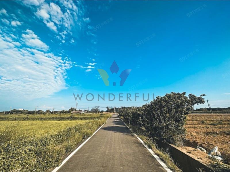 watersmall_LINE_ALBUM_1550觀音行政園區文化路旁農地_260416_4_20260417110900.jpg