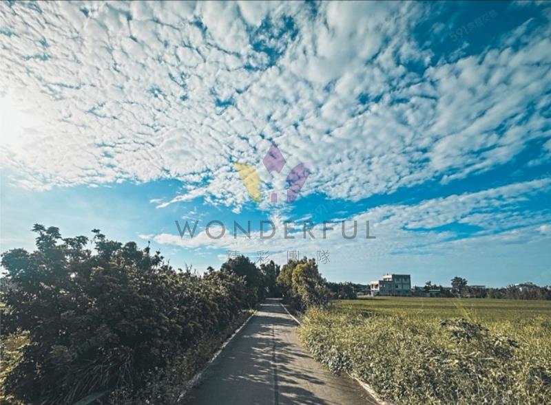 watersmall_LINE_ALBUM_1550觀音行政園區文化路旁農地_260416_5_20260417110900.jpg