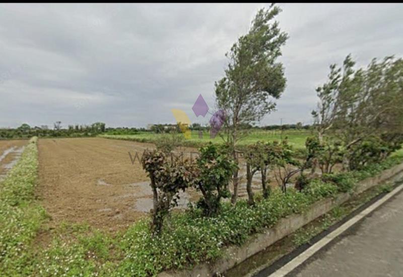 watersmall_LINE_ALBUM_1550觀音行政園區文化路旁農地_260416_12_20260417110901.jpg