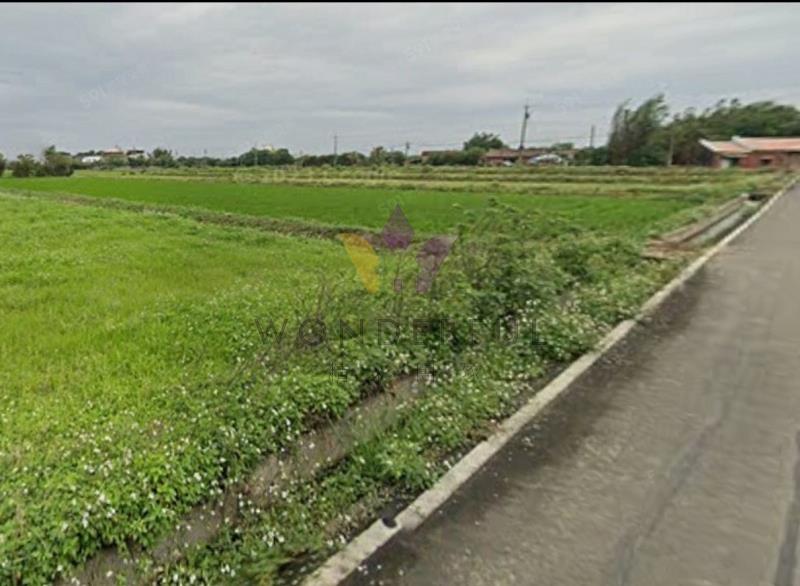 watersmall_LINE_ALBUM_1550觀音行政園區文化路旁農地_260416_13_20260417110901.jpg