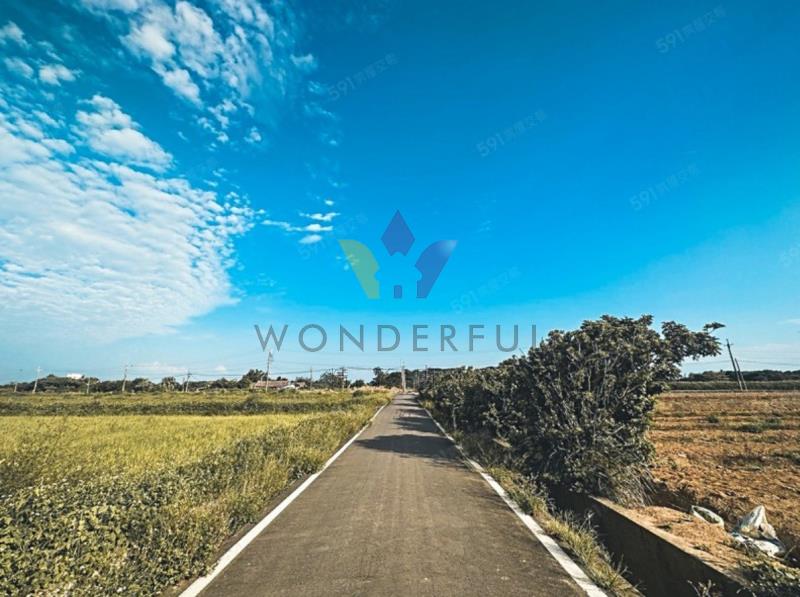 watersmall_LINE_ALBUM_1550觀音行政園區文化路旁農地_260417_10_20260417110902.jpg