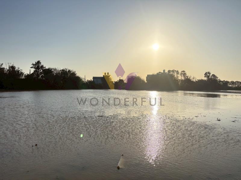 watersmall_S__718585868_0_20260427144143.jpg