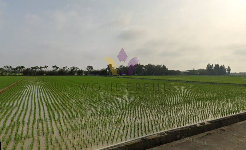 watersmall_螢幕擷取畫面2025-03-05163700_20260501153200.png