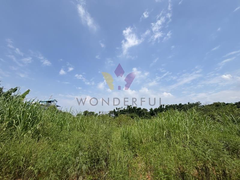 watersmall_S__68091924_0_20260603085737.jpg