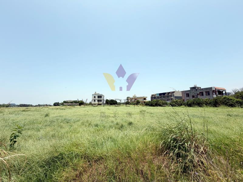 watersmall_S__38707209_0_20260608132251.jpg