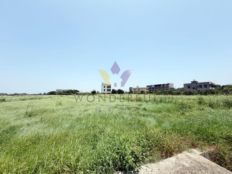 watersmall_S__38707211_0_20260608160412.jpg